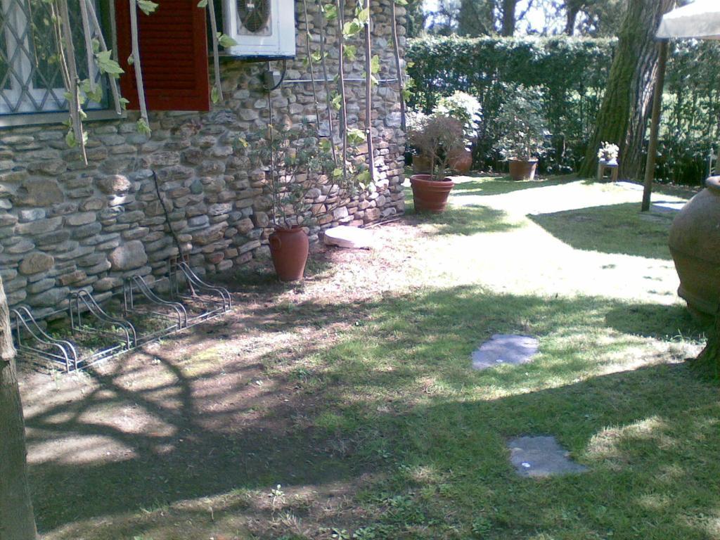 Villa Feltran Forte dei Marmi Oda fotoğraf